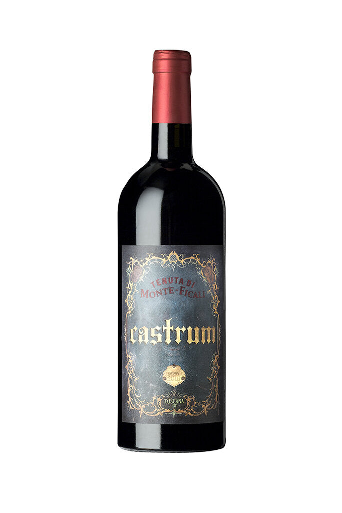 Castrum IGT